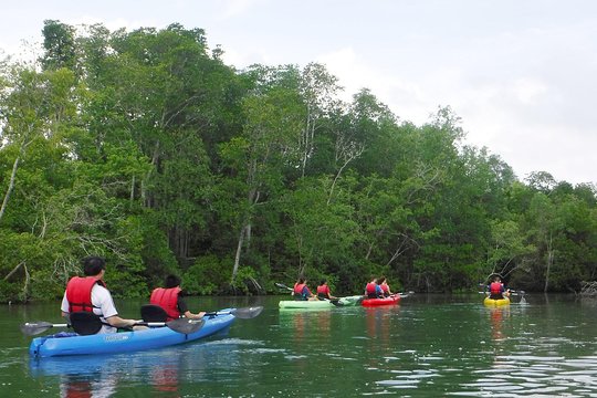 Tour image 4