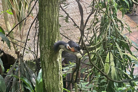 Tour image 11